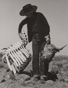 Ansel Adams, Georgia O’Keeffe raccoglie materiali per le sue opera, New Mexico, 1938 (Fonte: The LIFE Magazine Collection, 2005)